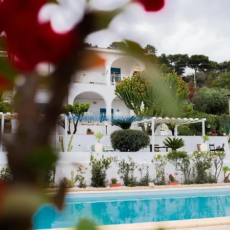 Falco In Pietra Bed & Breakfast