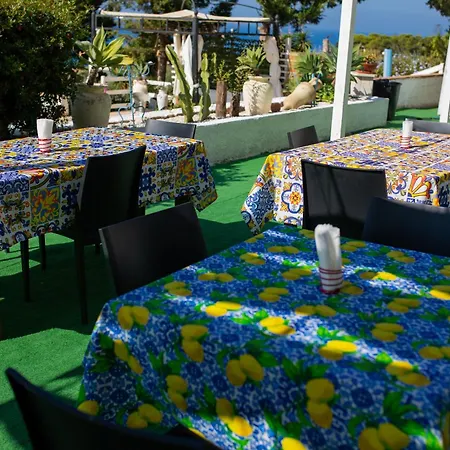 Falco In Pietra * Palma di Montechiaro