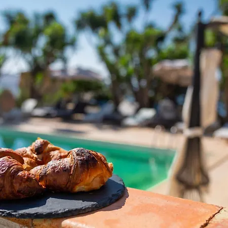 Bed & Breakfast Falco In Pietra *