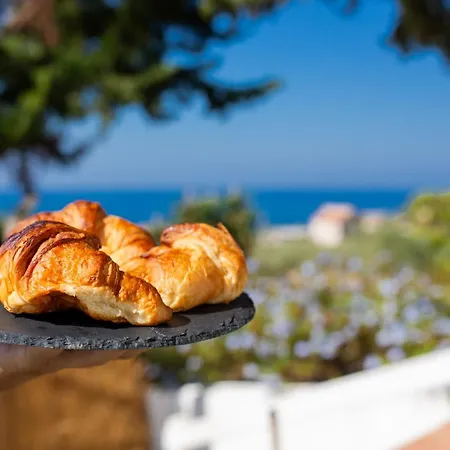Falco In Pietra Palma di Montechiaro