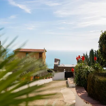 Falco In Pietra Palma di Montechiaro