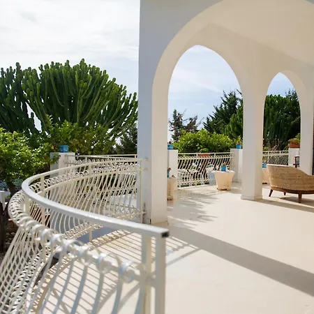 Falco In Pietra * Palma di Montechiaro