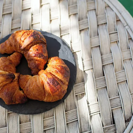Falco In Pietra Palma di Montechiaro
