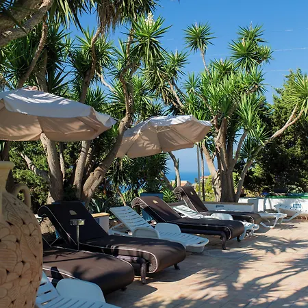 Falco In Pietra Palma di Montechiaro